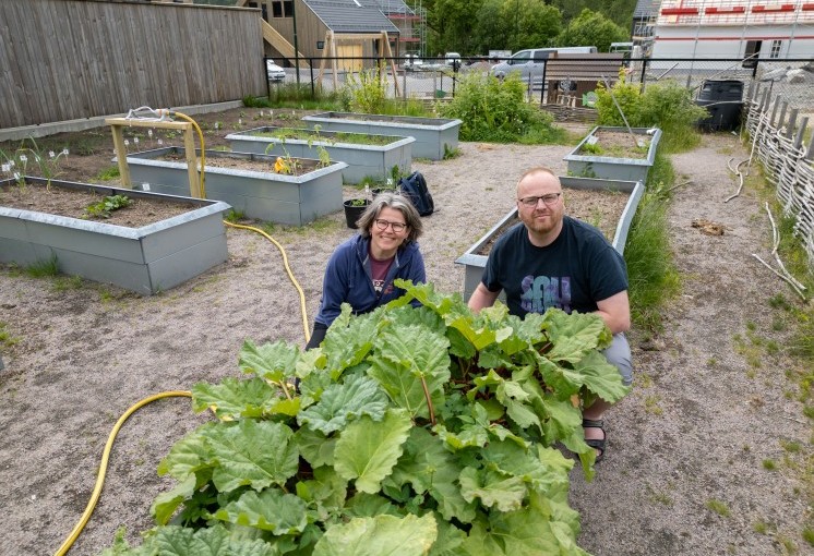 Tilbake til fremtiden med skolehagen