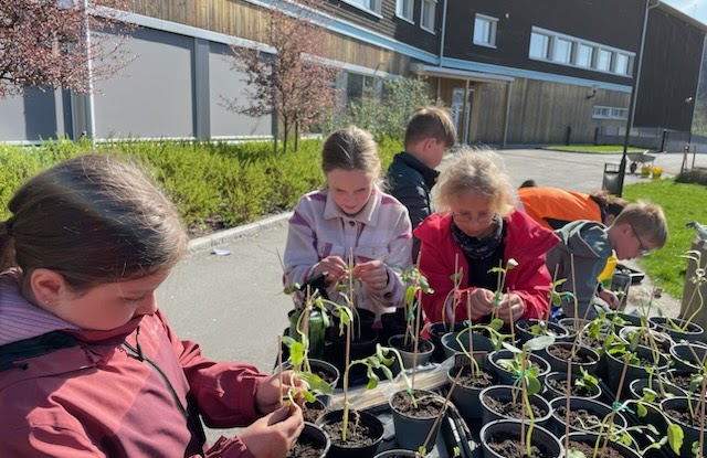 barn planter i hage 