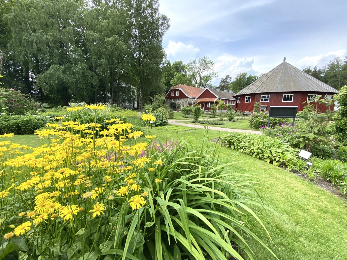 Vårbilde