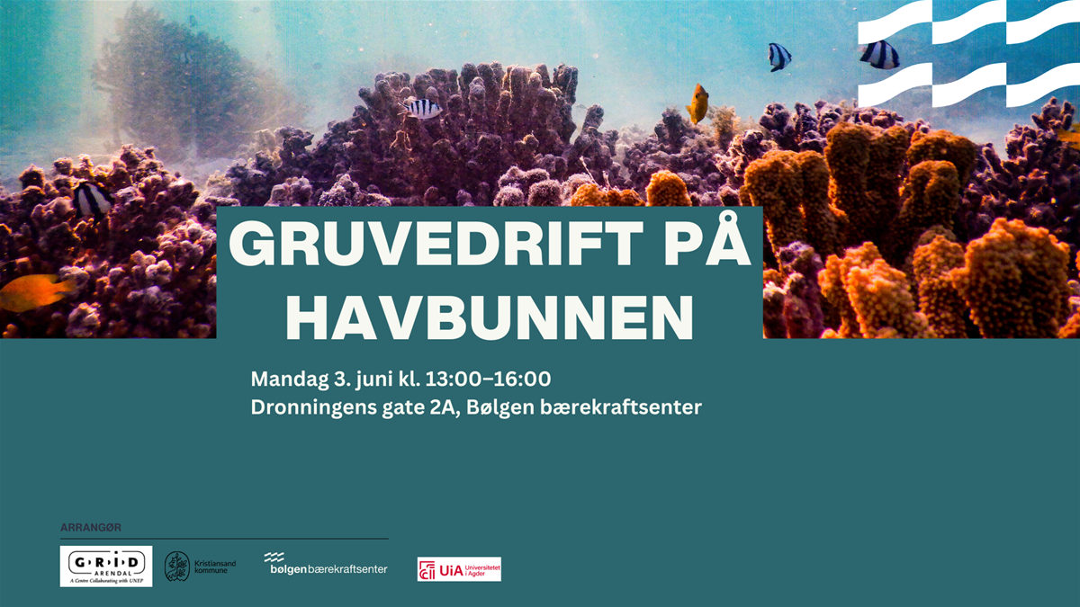 Bilde av havbunn.